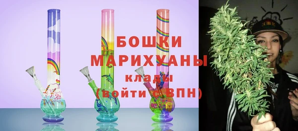 гашик Дмитров