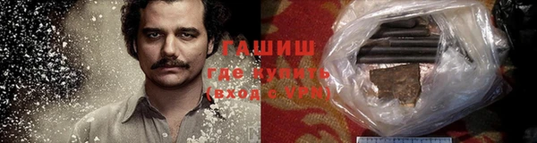 гашик Дмитров