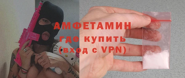 гашик Дмитров