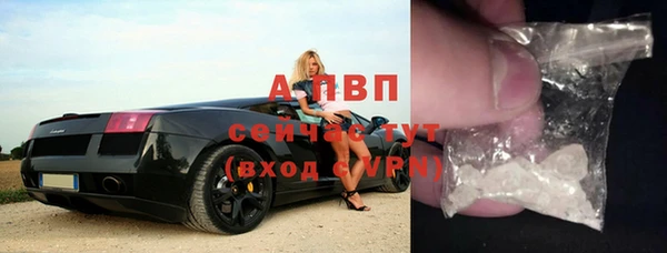 гашик Дмитров