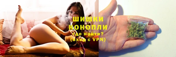 гашик Дмитров