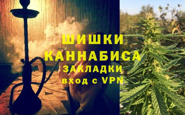гашик Дмитров