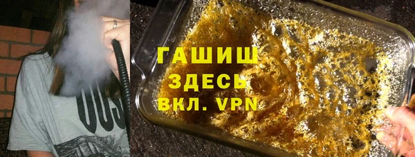гашик Дмитров