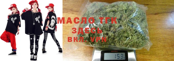 гашик Дмитров