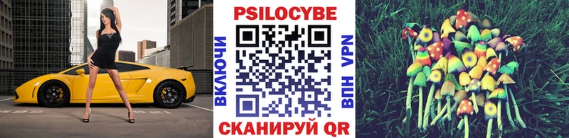 Псилоцибиновые грибы Magic Shrooms Приморск